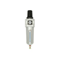 THB FR706 Filter-Regulator with Manual Drain