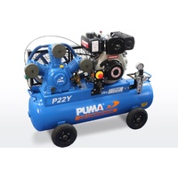 Puma P22Y Electric Start