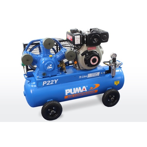 Puma P22Y