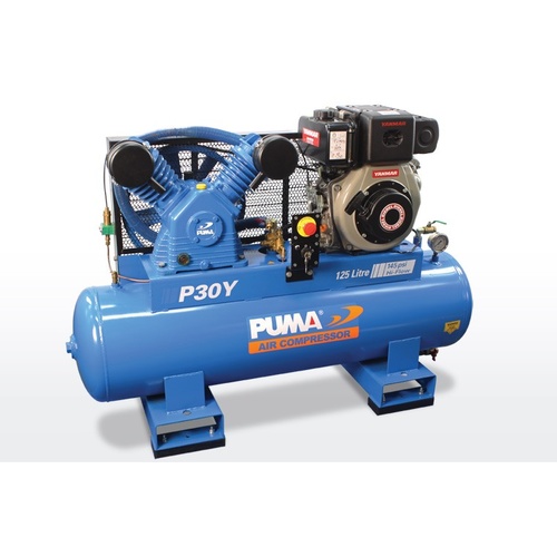 Puma P30Y Electric Start