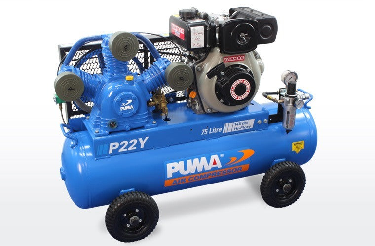 Puma P22Y