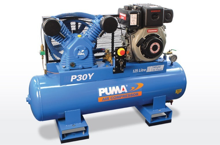 Puma P30Y Electric Start
